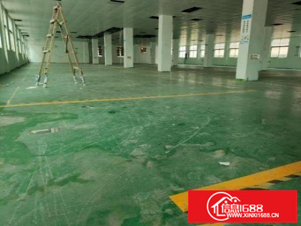 松岗大型工业园红本独院厂房三层4680平方