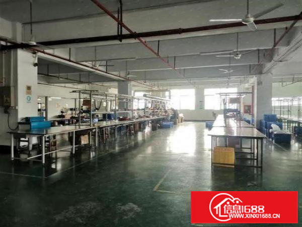 横沥田饶步楼上1100平方精装修厂房出租带地坪漆