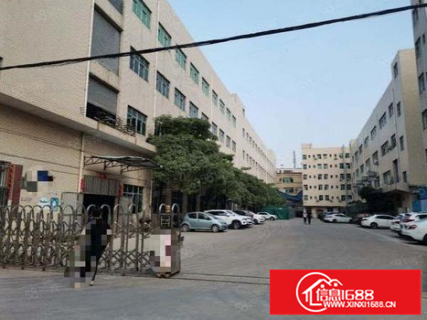 北栅附近独门独院原房东实际面积2500平