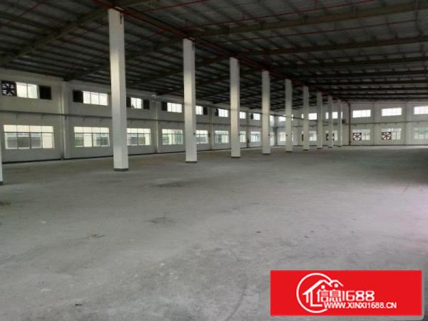 马安单一层钢构6000平米出租原房东