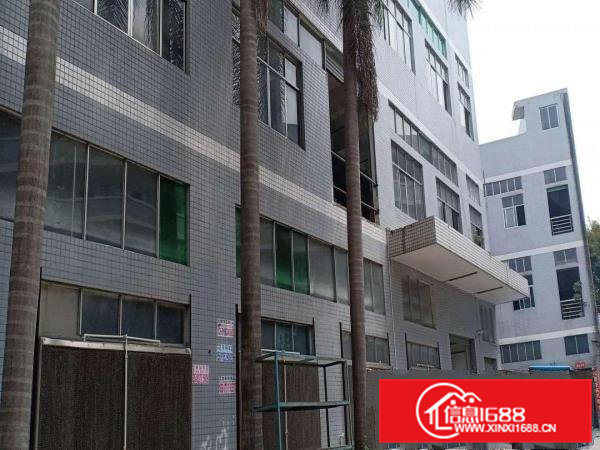 高埗原房东标准厂房一楼出租