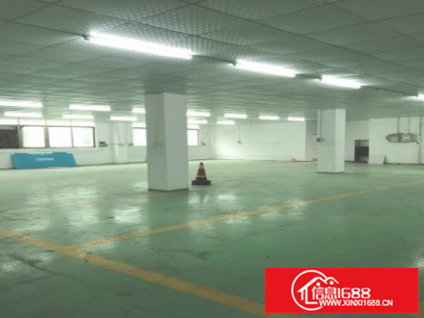 龙岗大型工业园原房东红本独院4500平厂房出租空地大可分租