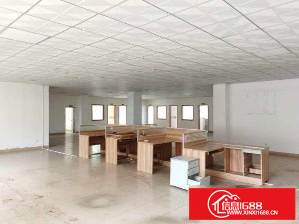 横岗新出标准村委小独院，不限行业，易招工，年限长达9年合同