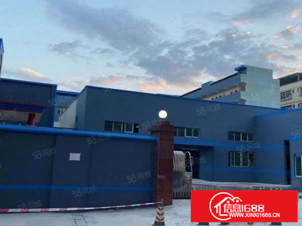 新出大岭山独院厂房砖墙铁皮顶4800平，带环评证低价招租