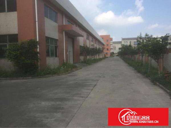 大亚湾西区标准厂房招租，手续齐全，有房产证