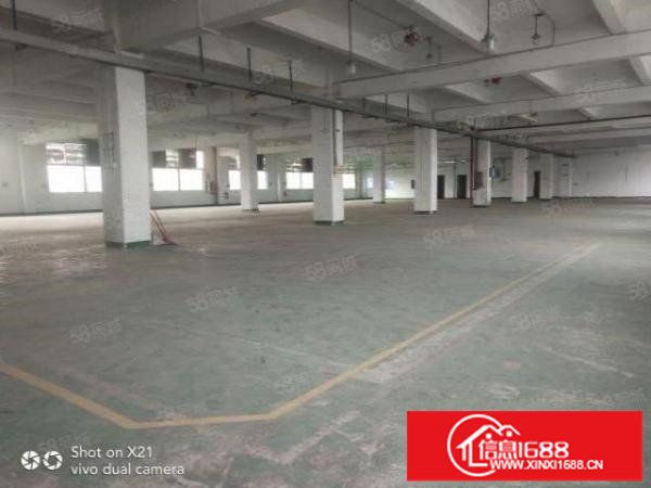 独门独院厂房4800平米，可分1200平米，600平米