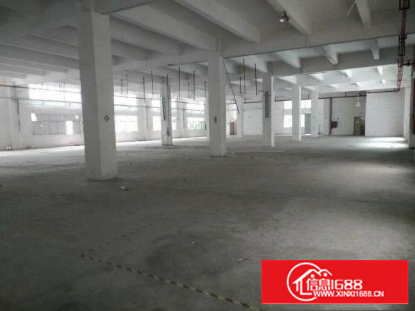 沙井沿江高速独门独院11500平方整栋出租合同五年