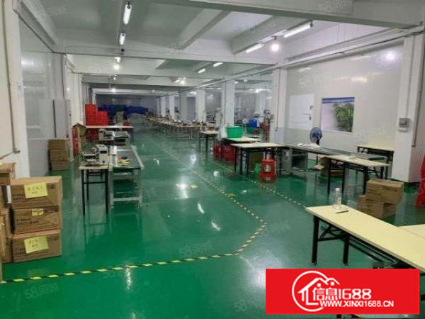 横岗大康新出原房东带精装修二楼厂房1300平方实际面积出租