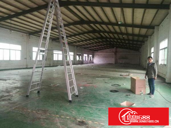 观澜环观中路大布头8米高钢构独院厂房大小分租