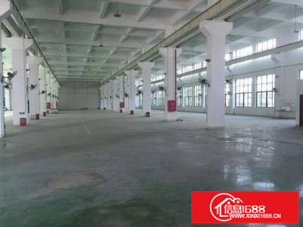 配电大好进车，容桂一楼2560方精装厂房，层高8米！