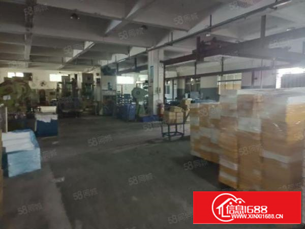 万江区新出独门独院厂房4500平超大空地形象好