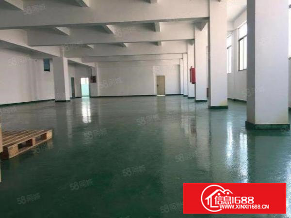 新安社区新空出五楼1000平米，带精装修，水电齐全，价格便宜