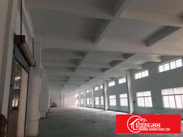 石排镇独院厂房出租便宜