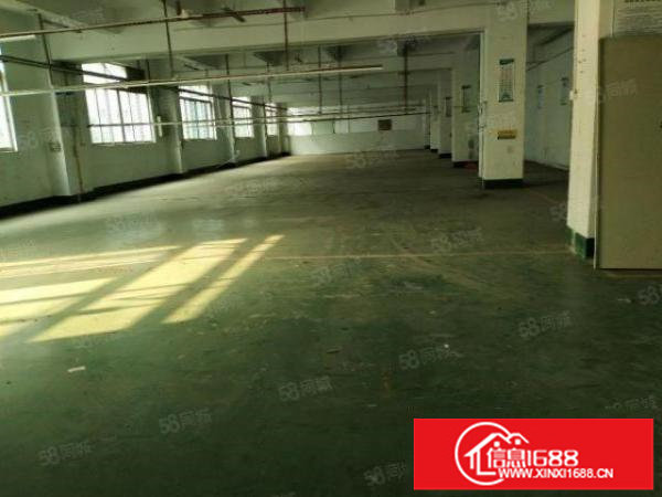 平湖清平高速口楼上便宜厂房出租一楼和四楼