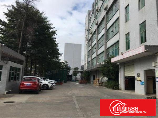 大岭山第三工业区精装修厂房2100平出租，无需转让费照片实拍