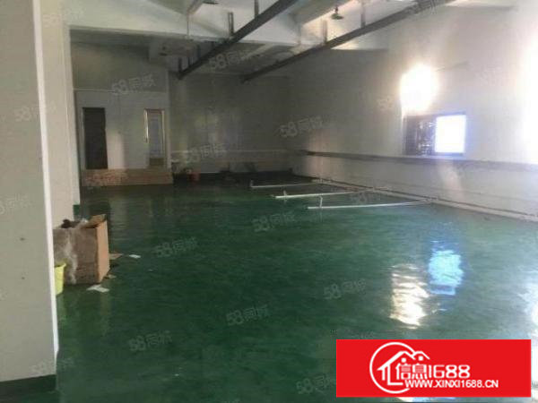 一楼标准厂房520平方出租，拎包入住