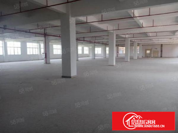 东莞塘厦厂房出租10000平方独门独院原房东国有证厂房出租