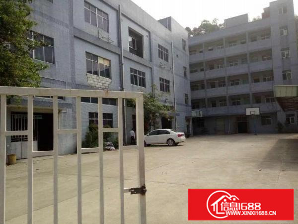 凤岗新出4800平方独门独院厂房