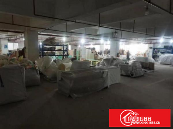 乐从新隆工业园区独院厂房出租12000平方