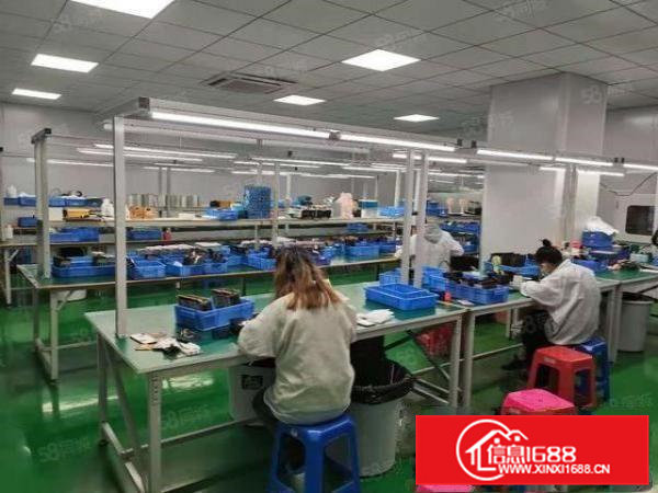 塘厦凤凰岗新出1000平方带地坪漆及精装修办公室厂房出租