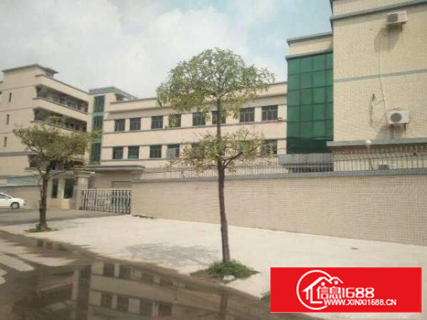 石排镇原房东独门独院厂房9600平米