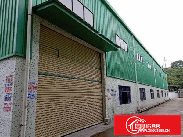 龙岗区五联8米高钢构单一层厂房800平方出租