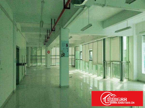 凤岗新出一楼独院厂房1200平，不限行业，可分租