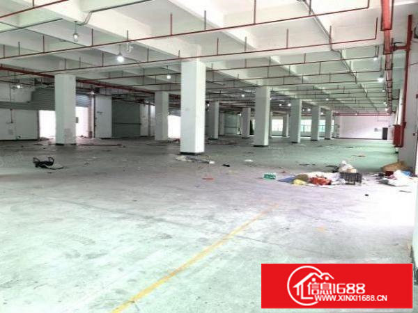 六约一楼450平方5米高业主直租空地大免费停车