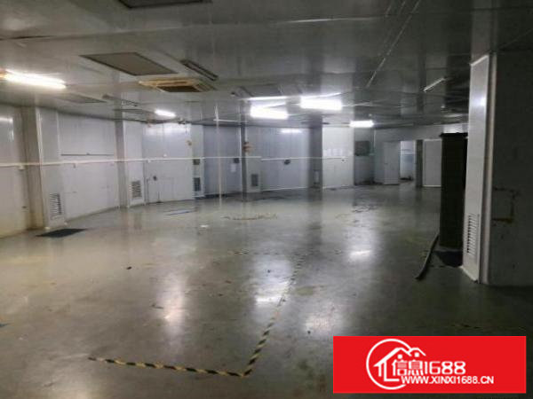 龙岗龙岗爱联原房东厂房1200平