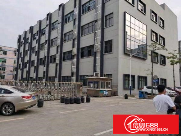 龙华大浪商业中心附近新出6400平独院独栋对外招租