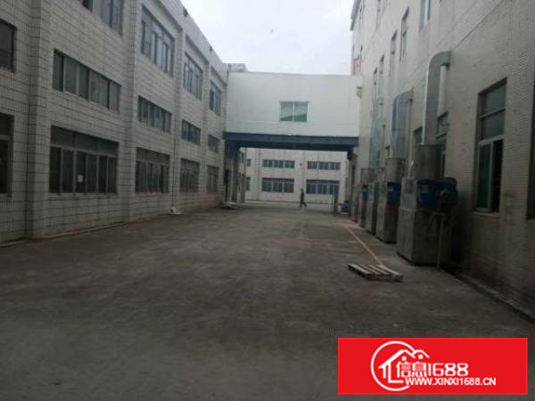 清溪原房东厂房形象好大小可，不限行业