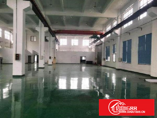 清溪标准1楼2000平方！高8米！实拍图片精装修