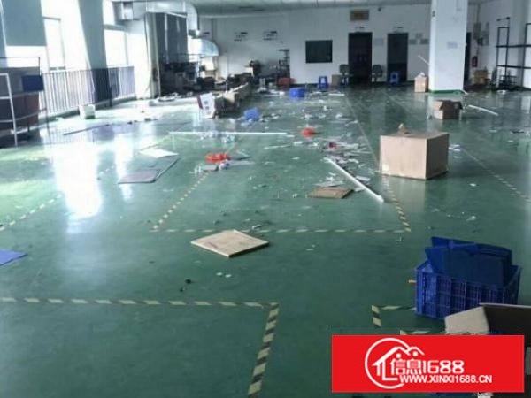 松岗大田洋厂房二楼1000平米无转让费