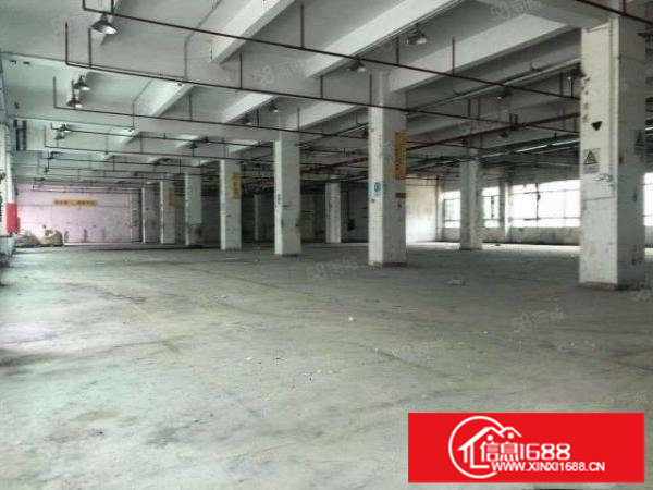 龙岗坪地低碳城18元厂房招租一楼1800m2二楼3600
