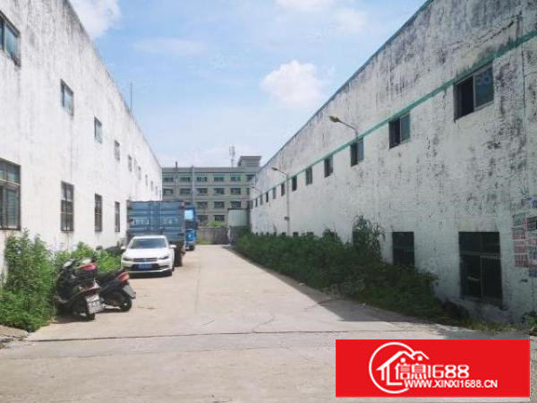 布吉平湖1800平厂房仓库出租,近主干道货车好进出可分租