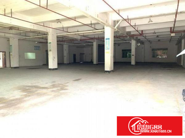 清溪独院厂房一楼高度5米1000平米招租