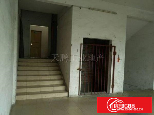 容桂红旗出租仓库500方独门独院价钱优惠