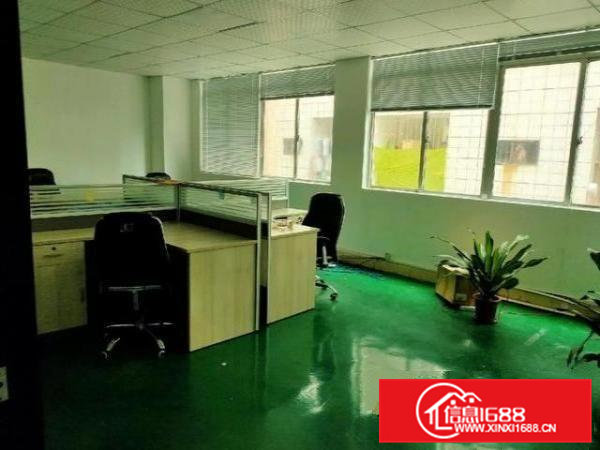 虎门树田工业区楼上1100平，豪华精装修！