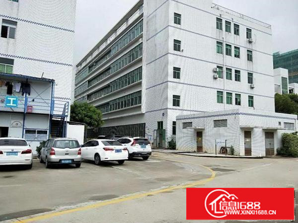 龙岗新生楼上850平方厂房低价出租（可分租）