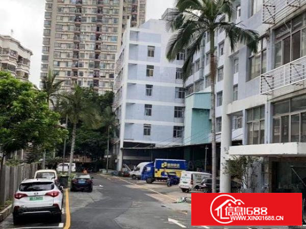 布吉大芬油画村旁厂房钢构出租布吉沃尔玛边上标准厂房200起分