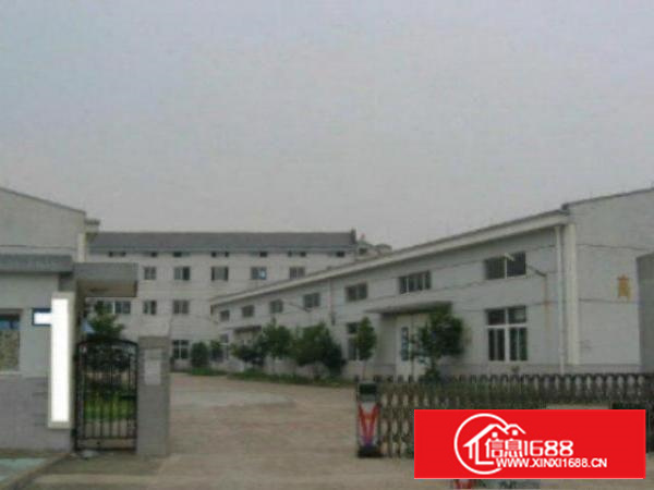 万江独院单一层钢构厂房3300平方出租厂房??滴水高度9米带