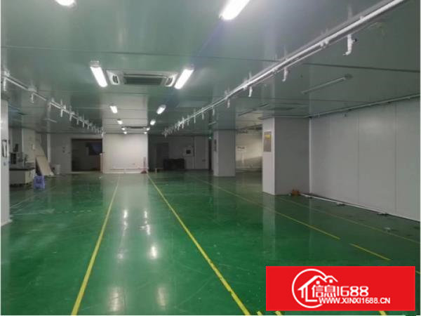 大岭山新出三楼厂房十万级无尘车间2600平方