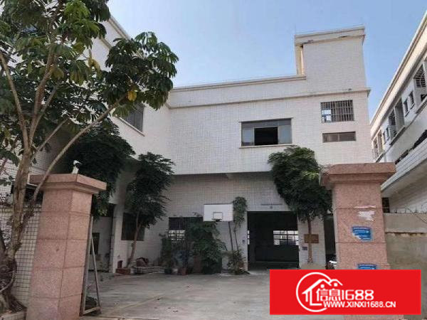 降价招租大朗洋坑塘两层850平方独院厂房低至9元