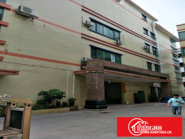 东坑原房东厂房分租3楼4楼共1000平无公摊11块