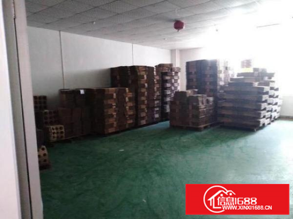 出租福永107独院一楼厂房700