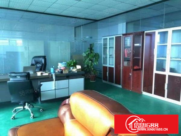 桥头石水口新出原房东标准独门独院3800平方可以办理环评