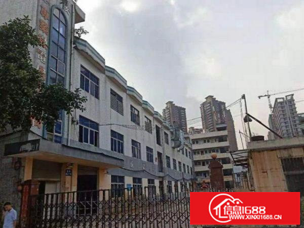 横岗经典独门独院厂房6850平招租可分租