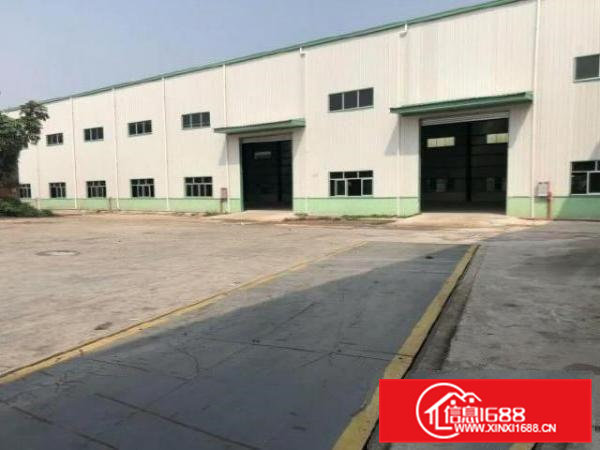 高埗独院钢结构厂房1500平方出租，滴水8米