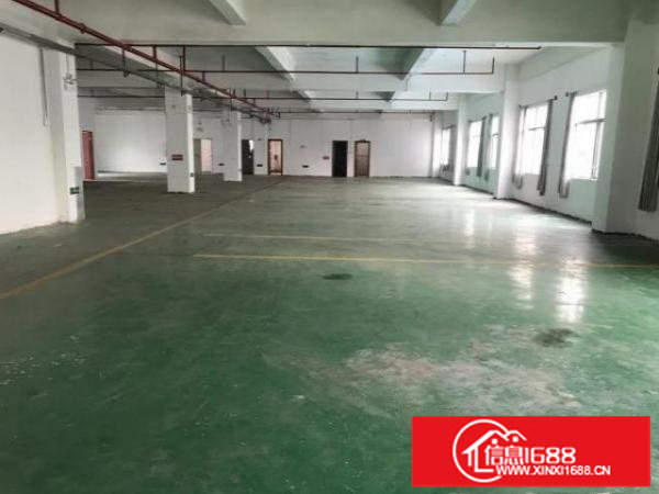 坪山大工业区新出1100平精装红本厂房出租