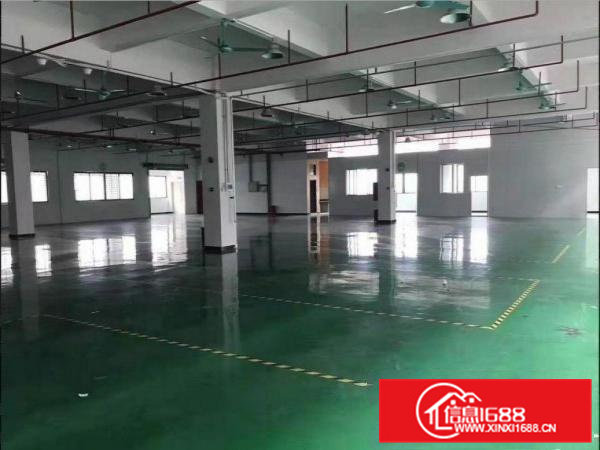 黄江社贝工业区一楼厂房800平低价出租，无公摊